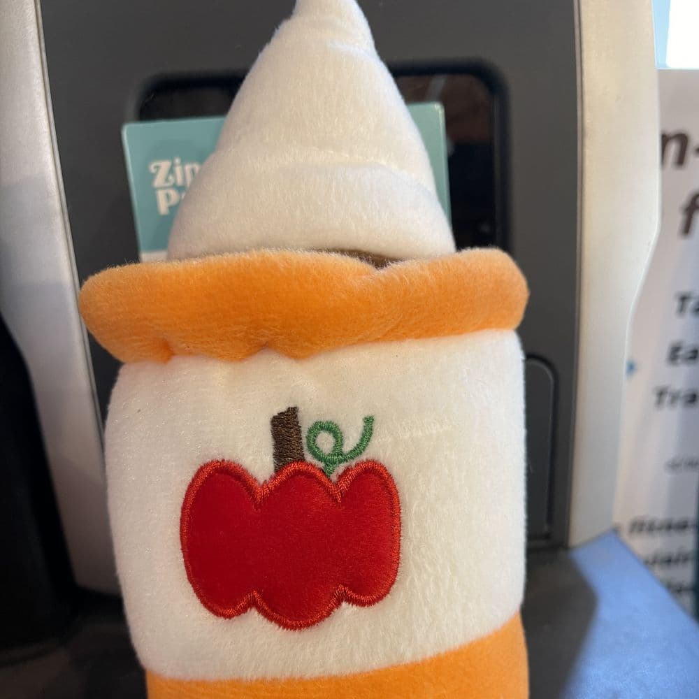 NOMNOMZ pumpkin spice latte