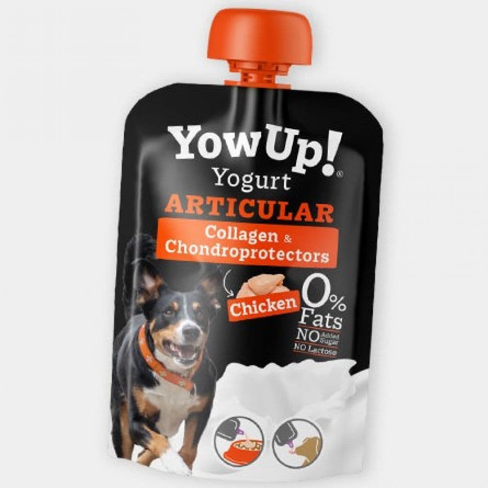 YowUp Articular Chien