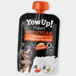 YowUp Articular Chien