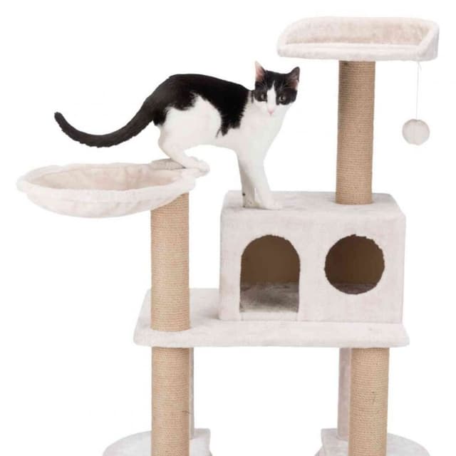 Arbre à chat Federico trixie